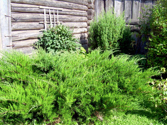 Similar image 21841920