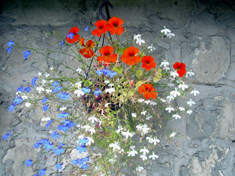 Similar image 21841923