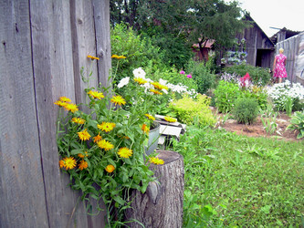 Similar image 21841925