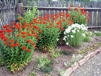 Similar image 21841929