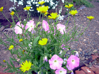 Similar image 21841931