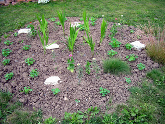 Similar image 21841932