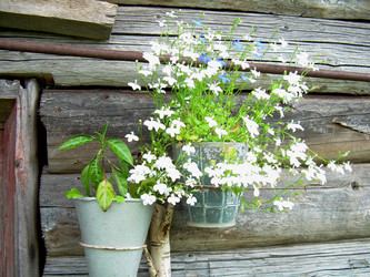 Similar image 21841936