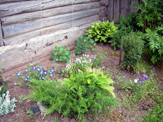 Similar image 21841937