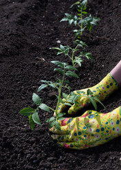 Similar image 21843378