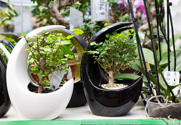 Similar image 21843384