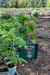 Similar image 21843385