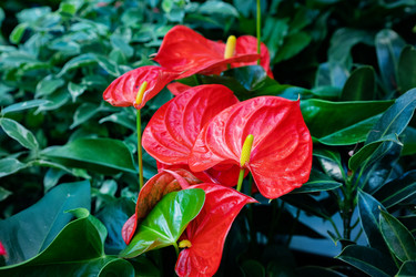 Similar image 21843386