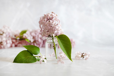 Similar image 21843387