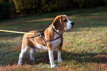 Similar image 21843392