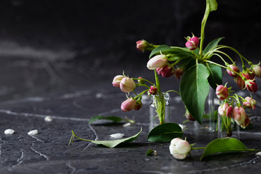 Similar image 21843393