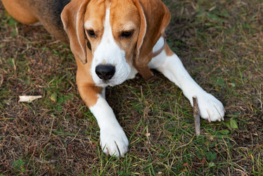 Similar image 21843449