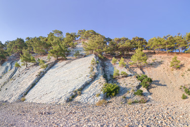 Similar image 21848053