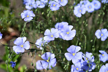 Similar image 21841939