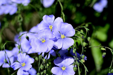 Similar image 21841940