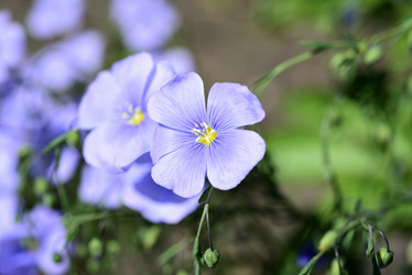 Similar image 21841941