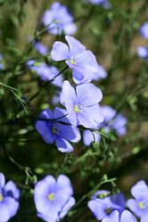 Similar image 21841944