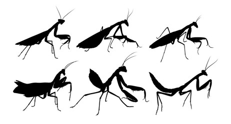 Similar image 21841945