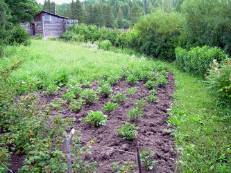 Similar image 21841947