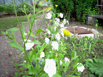 Similar image 21841948