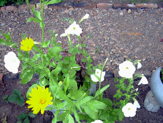 Similar image 21841950