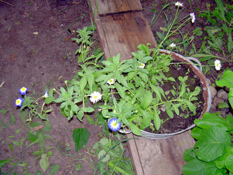 Similar image 21841951