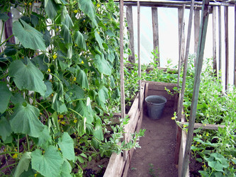 Similar image 21841952