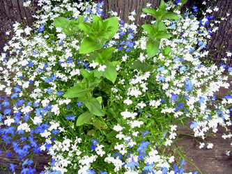 Similar image 21841953