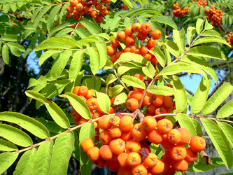 Similar image 21841954