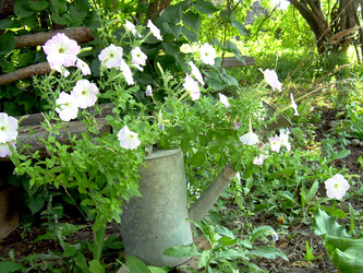 Similar image 21841955