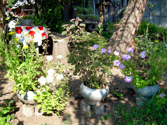 Similar image 21841956