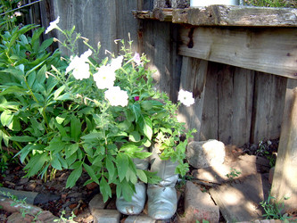 Similar image 21841957