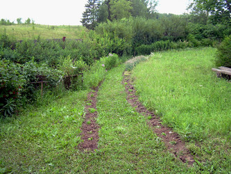 Similar image 21841959