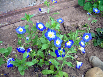 Similar image 21841960