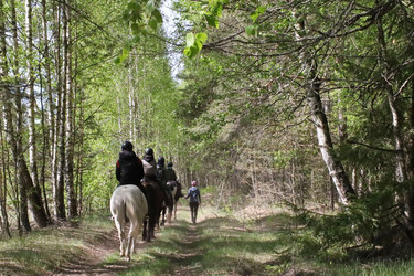 Similar image 21841962