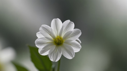 Similar image 21841964