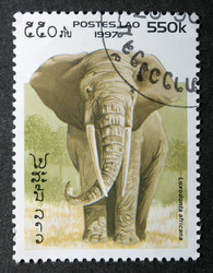 Similar image 21845860