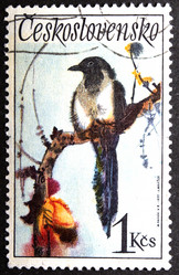 Similar image 21841965