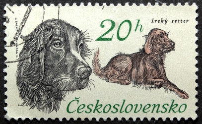 Similar image 21841966