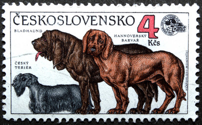 Similar image 21841967