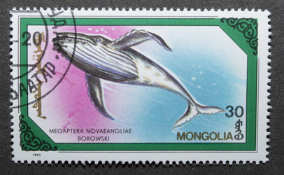 Similar image 21847836