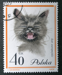 Similar image 21845795