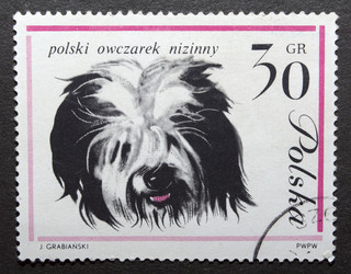 Similar image 21845796