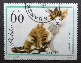 Similar image 21845799