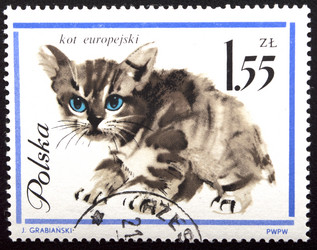 Similar image 21845800