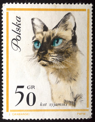 Similar image 21845801