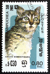 Similar image 21845804