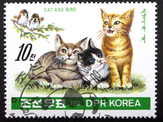 Similar image 21845805