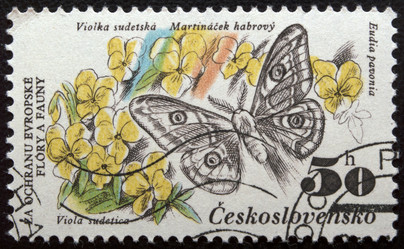 Similar image 21841969