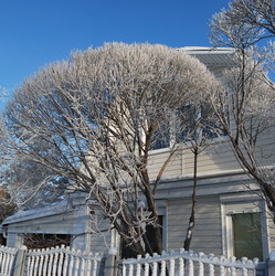 Similar image 21841729